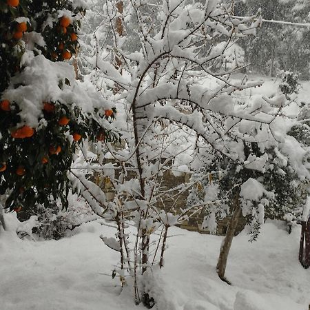 Mountain Breeze Sanctuary Villa Volos Bagian luar foto