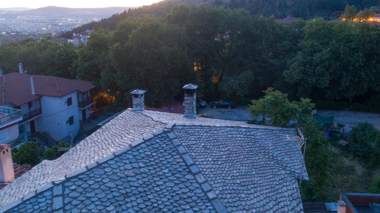 Mountain Breeze Sanctuary Villa Volos Bagian luar foto