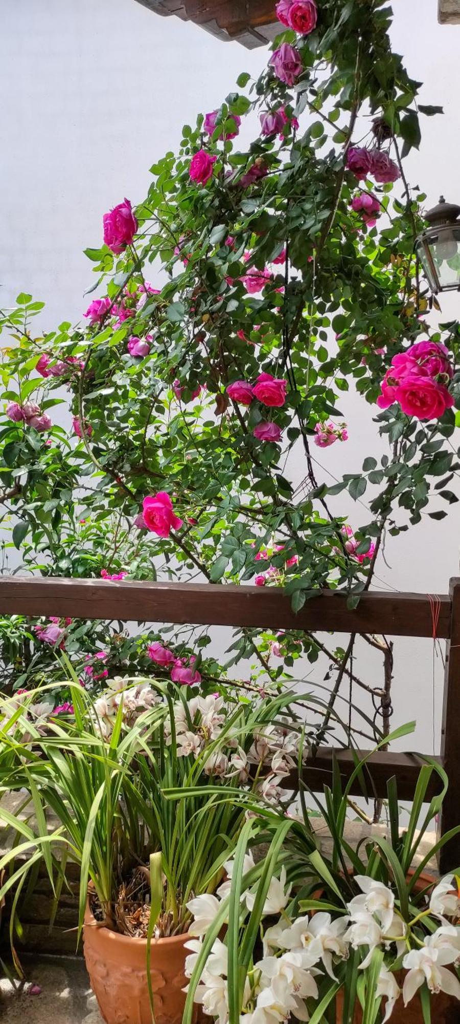 Mountain Breeze Sanctuary Villa Volos Bagian luar foto