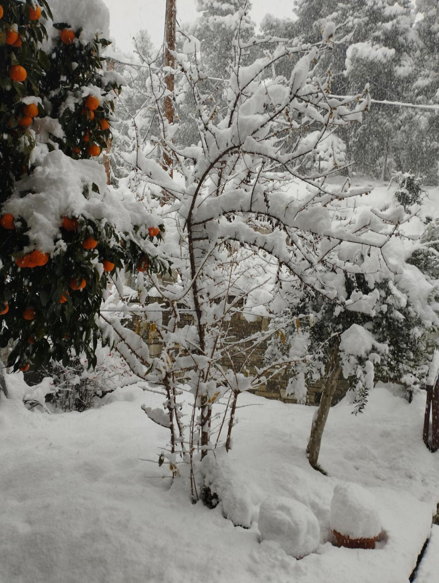 Mountain Breeze Sanctuary Villa Volos Bagian luar foto
